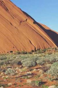 Alex Martinez avatar