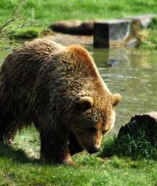 Alex Martinez avatar