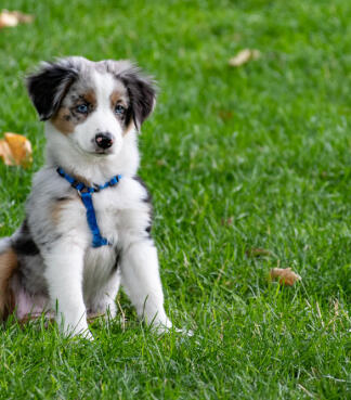 Leo Anders profile photo