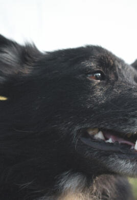 Jonas Richter profile photo