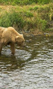 Jonas Richter profile photo