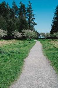 Alex Martinez avatar