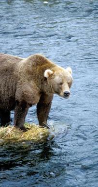 Maya Chen profile photo