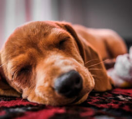 Alex Martinez avatar