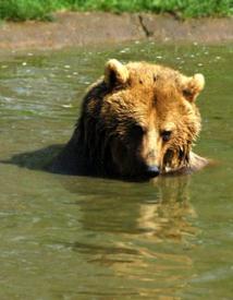 Jonas Richter profile photo