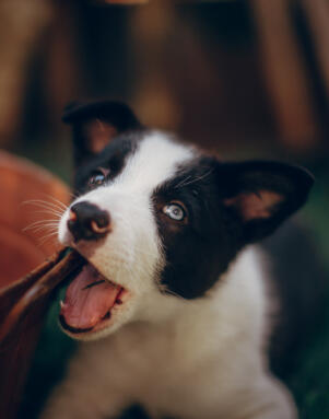 Alex Martinez avatar