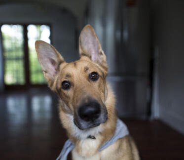 Alex Martinez avatar