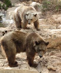 Jonas Richter profile photo