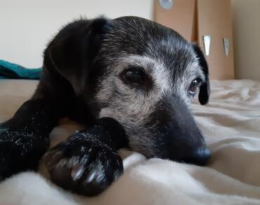 Leo Anders profile photo