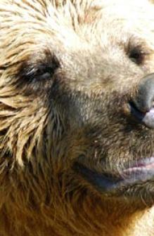 Leo Anders profile photo