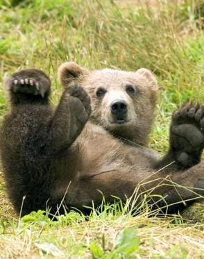 Maya Chen profile photo