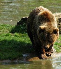 Maya Chen profile photo