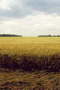 Jonas Richter profile photo