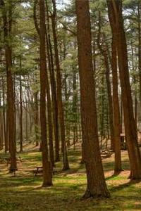 Maya Chen profile photo