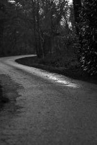 Leo Anders profile photo