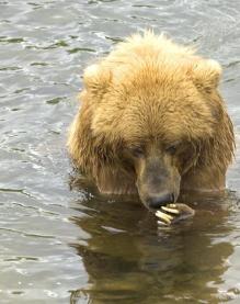 Jonas Richter profile photo