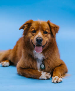 Leo Anders profile photo