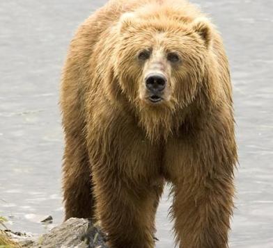 Jonas Richter profile photo