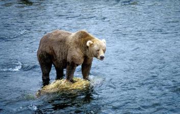 Maya Chen profile photo