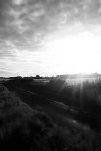 Maya Chen profile photo