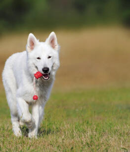 Leo Anders profile photo