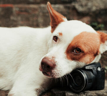 Maya Chen profile photo