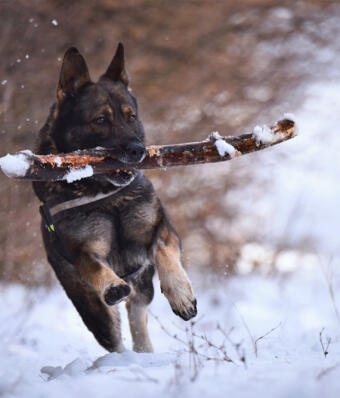 Alex Martinez avatar