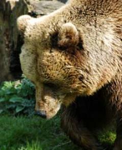 Leo Anders profile photo