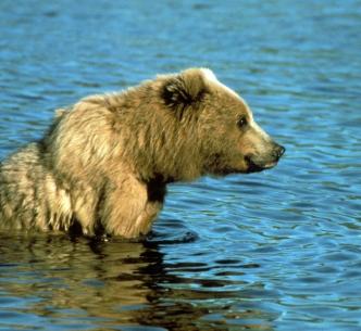 Jonas Richter profile photo