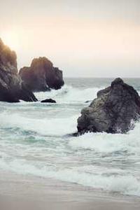 Maya Chen profile photo