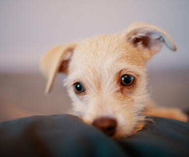 Jonas Richter profile photo