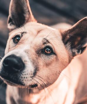 Leo Anders profile photo