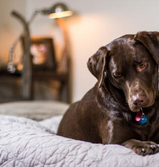 Leo Anders profile photo