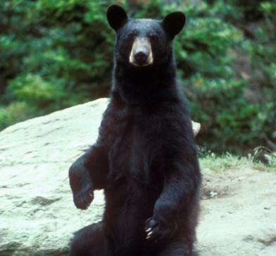 Jonas Richter profile photo