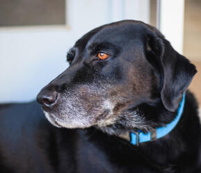 Leo Anders profile photo