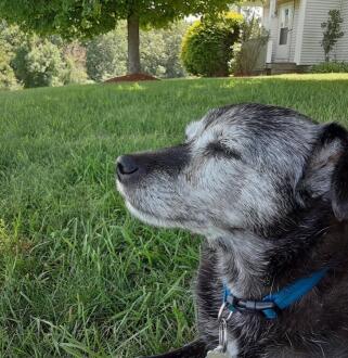 Jonas Richter profile photo