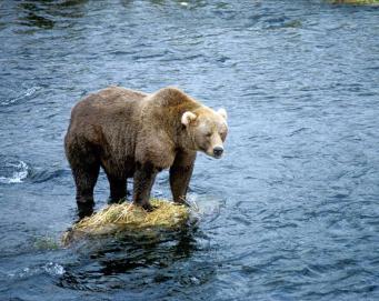 Alex Martinez avatar