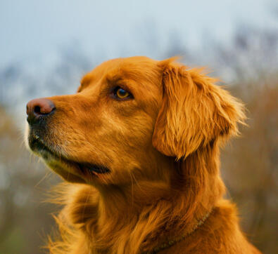 Jonas Richter profile photo