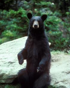 Maya Chen profile photo