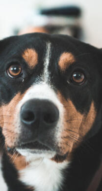 Alex Martinez avatar