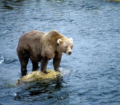 Maya Chen profile photo