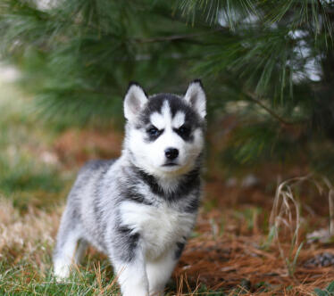 Alex Martinez avatar