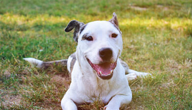 Jonas Richter profile photo