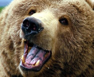 Jonas Richter profile photo