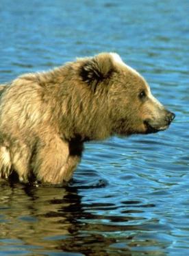 Maya Chen profile photo