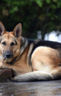 Jonas Richter profile photo