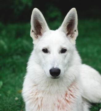 Alex Martinez avatar