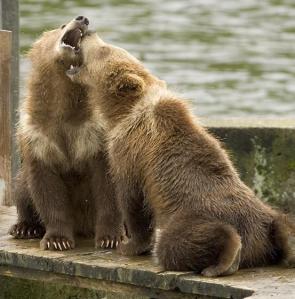 Leo Anders profile photo