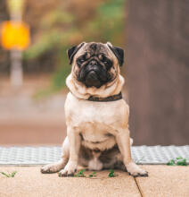 Alex Martinez avatar