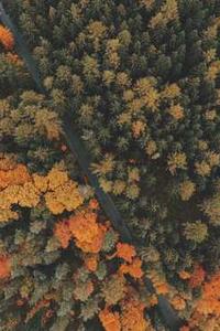 Leo Anders profile photo